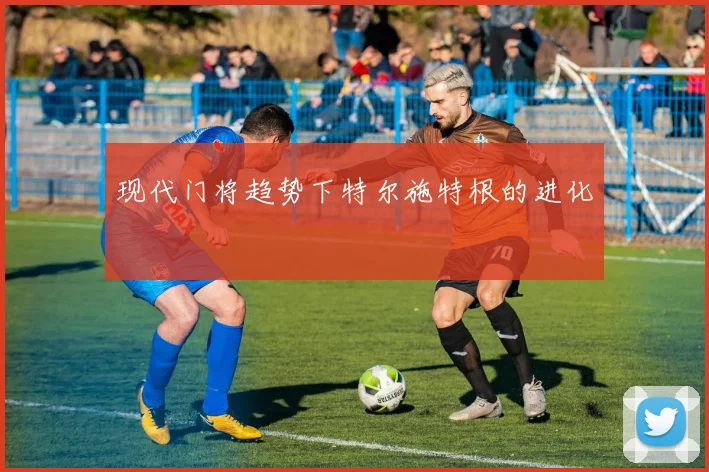 现代门将趋势下特尔施特根的进化