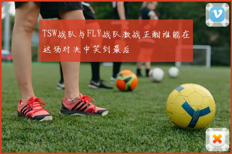 TSW战队与FLY战队激战正酣谁能在这场对决中笑到最后