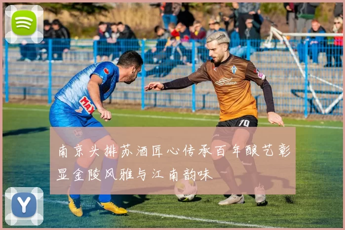 南京头排苏酒匠心传承百年酿艺彰显金陵风雅与江南韵味